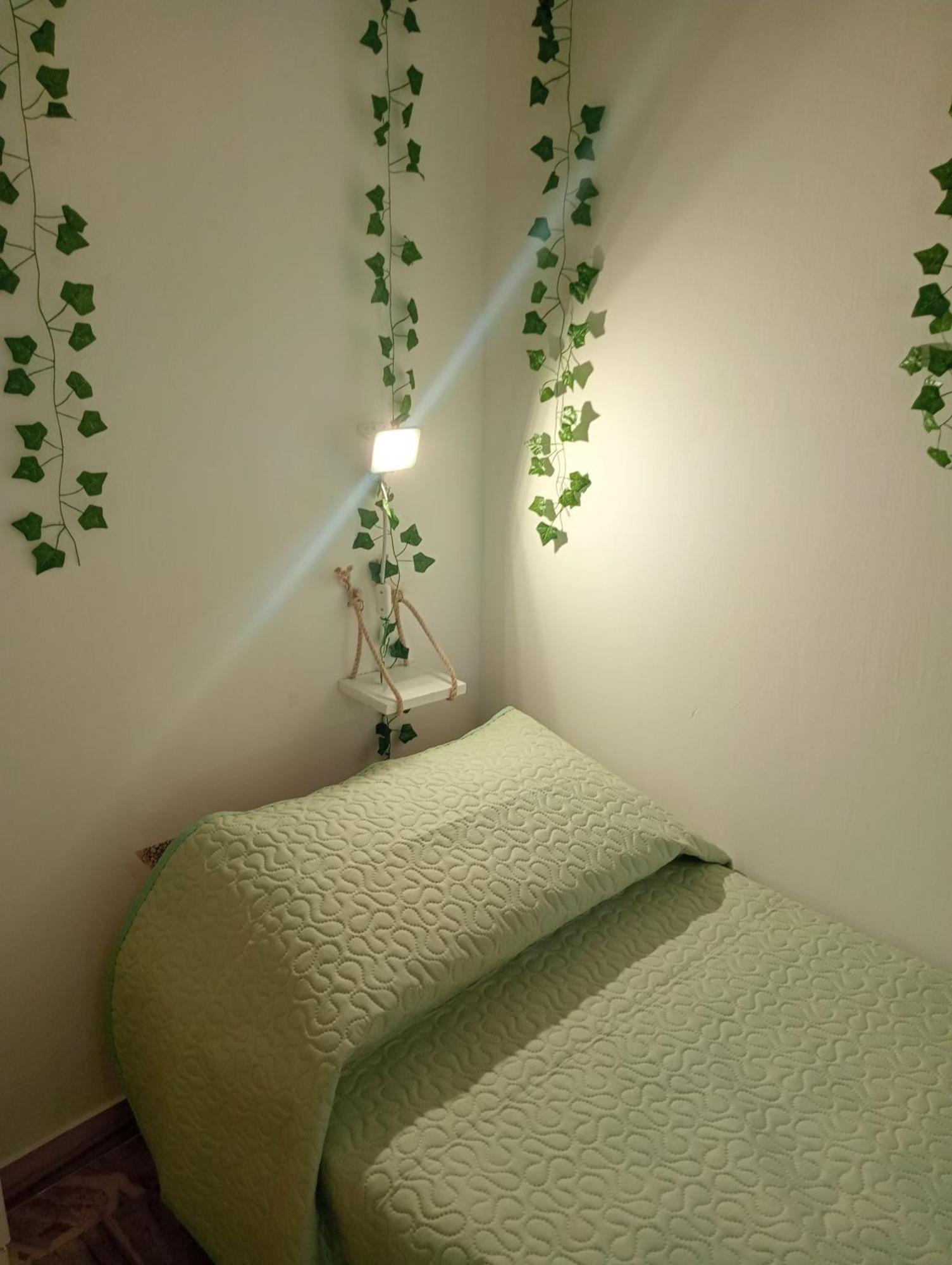 Casa Vacanze I Tre Girasoli "Green House" 卡尔塔吉罗 外观 照片