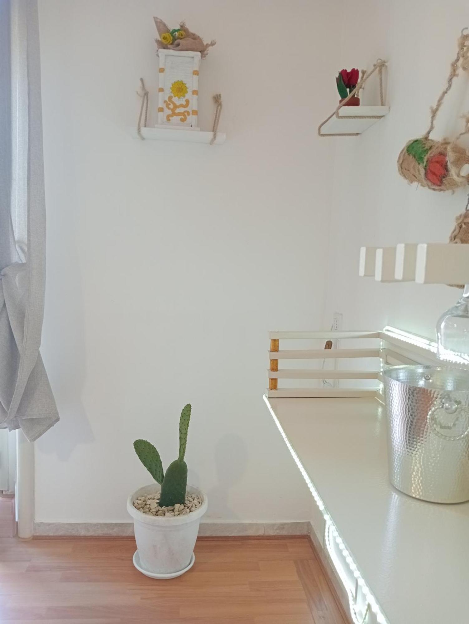 Casa Vacanze I Tre Girasoli "Green House" 卡尔塔吉罗 外观 照片